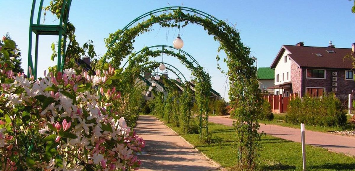 Зеленая арка для прогулок